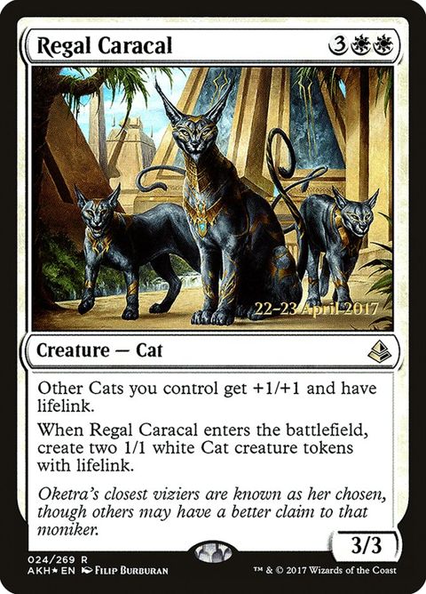 24s-regalcaracal.jpg