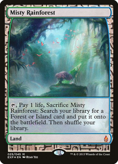 25-mistyrainforest.jpg