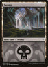 25-swamp.jpg