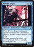 25-whirlerrogue.jpg