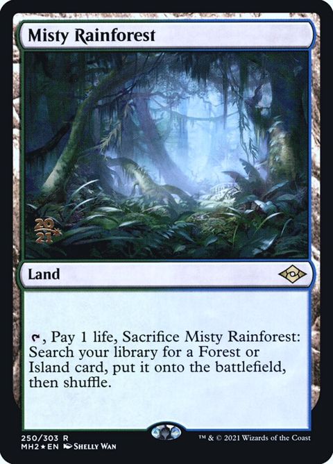 250s-mistyrainforest.jpg