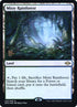 250s-mistyrainforest.jpg