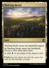 251-thrivingheath.jpg
