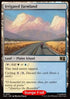 251s-irrigatedfarmland