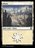 254-plains.jpg