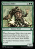 254-yavimayaelder