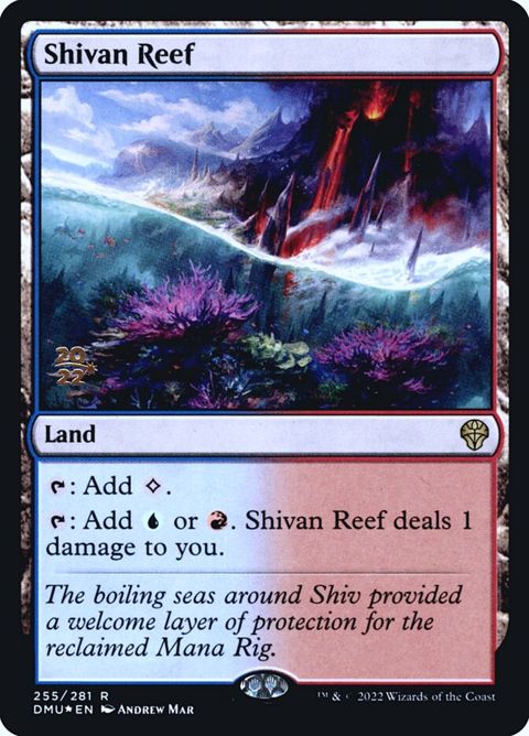 255s-shivanreef.jpg