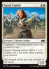 257-squadcaptain