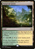257p-sunpetalgrove.jpg