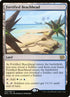 262p-fortifiedbeachhead.jpg