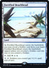 262s-fortifiedbeachhead.jpg