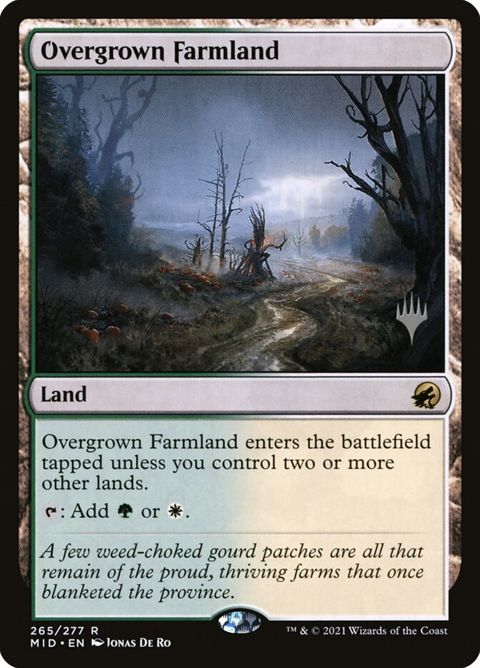 265p-overgrownfarmland.jpg