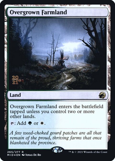 265s-overgrownfarmland.jpg