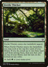 27-fertilethicket.jpg