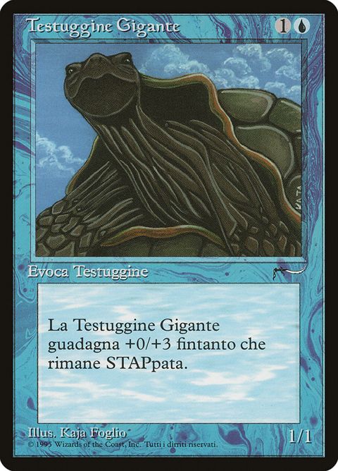 27-gianttortoise.jpg