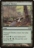 27-tranquilthicket.jpg