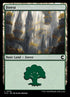 270-forest.jpg