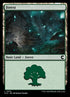 273-forest.jpg