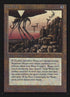 273-thehive.jpg