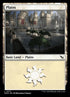 277-plains.jpg