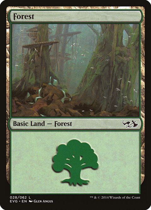 28-forest.jpg