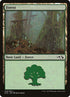 28-forest.jpg