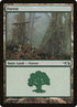 28-forest.jpg