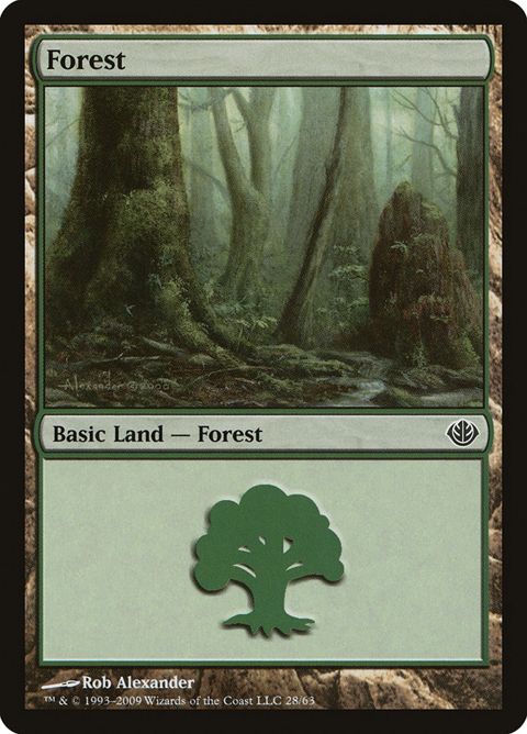 28-forest.jpg