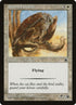 28-spottedgriffin.jpg
