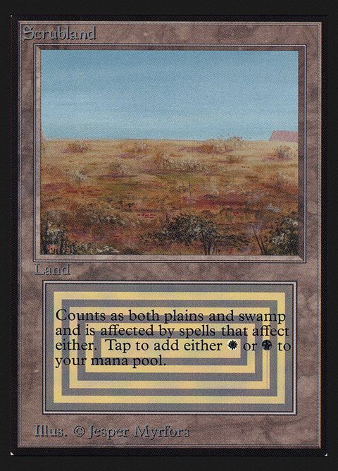 282-scrubland.jpg