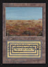 282-scrubland.jpg