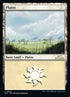 284-plains.jpg