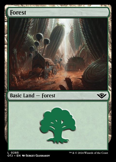 285-forest