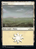 285-plains.jpg