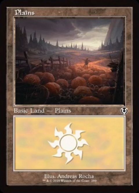 289-plains