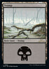 289-swamp.jpg