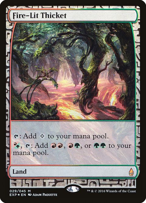 29-firelitthicket.jpg