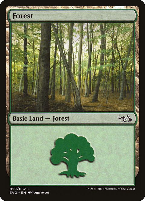 29-forest.jpg