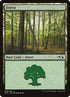 29-forest.jpg