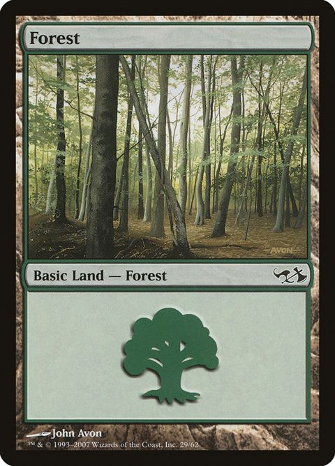 29-forest.jpg