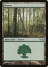 29-forest.jpg