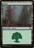 29-forest.jpg