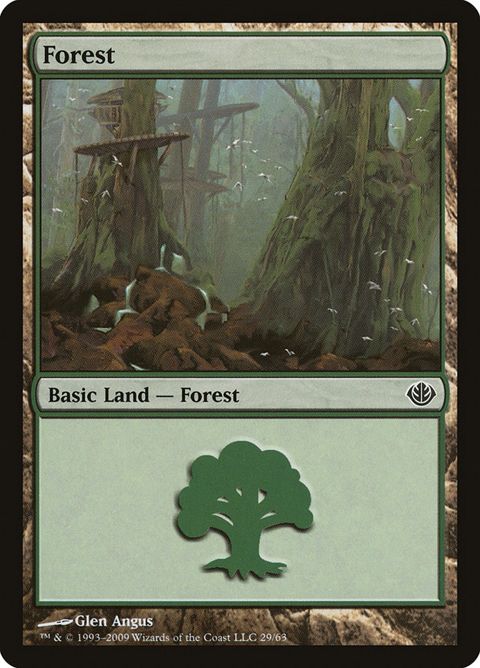 29-forest.jpg