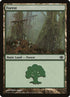 29-forest.jpg