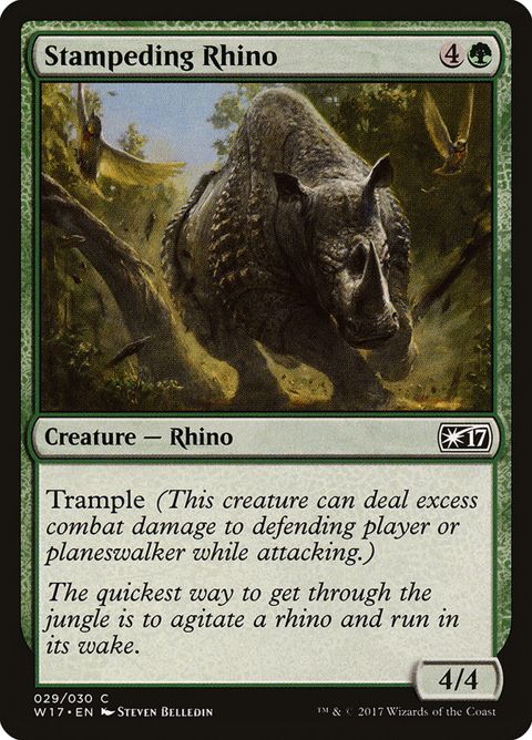 29-stampedingrhino.jpg