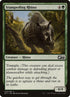29-stampedingrhino.jpg
