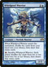 29-whirlpoolwarrior.jpg