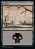 290-swamp.jpg