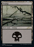 291-swamp.jpg