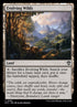 292-evolvingwilds.jpg